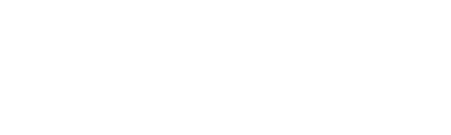 Planizar